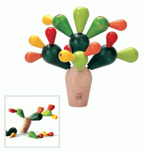 cactus equilibristra