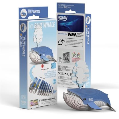 Ballena azul, Eugy 066