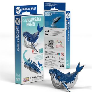 Ballena jorobada, Eugy 051