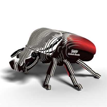 Escarabajo Goliat, Eugy 111 - Imagen 2