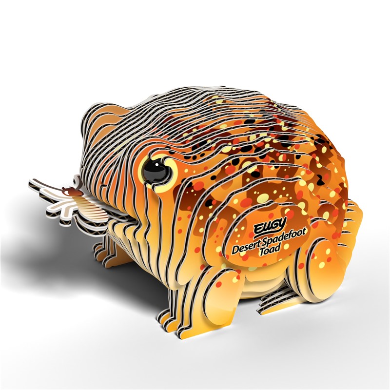 Sapo australiano del desierto, Eugy 117 - Imagen 2